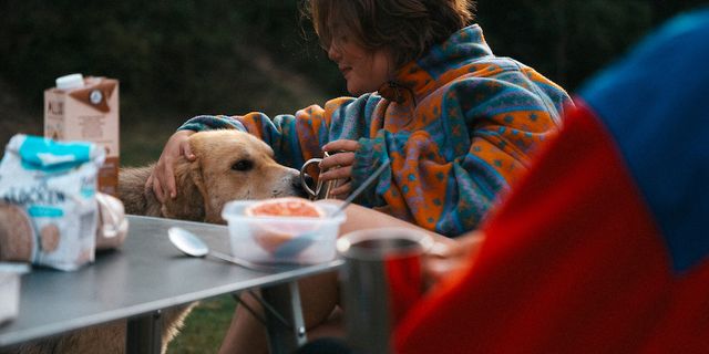 Eine Frau, die an einem Campingtisch sitzt, streichelt einen Hund. Auf dem Tisch ist Essen zu sehen.