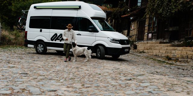 Ein VW California Camper steht auf einem Dorf, davor geht ein Mann mit einem Hund.