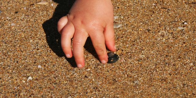 Eine Baby-Hand greift nach einer Muschel im Sand