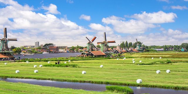 Landscape with windmills in the Netherlands 