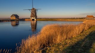 Eine Windmühle vor Wasser und Schilf in Kinderdijk in Südholland, angestrahlt von der Sonne