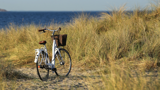 Fahrrad mit Korb in den Dünen