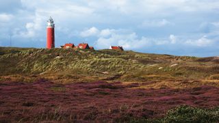 Leuchtturm auf einem Hügle auf der Insel Texel im Norden von Holland: ein Ausflug auf die Insel ist eine beliebte Freizeitaktivität fürs Camping in Holland am Meer