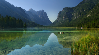 Dolomiten See Geheimtipp: Der Blick vom Ufer aus auf den Toblacher See, in dem sich im klaren Wasser Berge spiegeln, während Enten herumschwimmen.