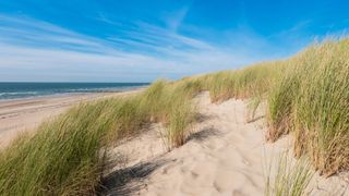 Strand, fotografiert von grasbewachsenen Dünen aus  in Zeeland in Holland