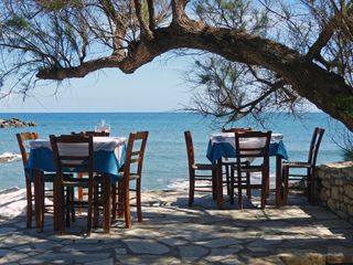 Restaurant under olive trees by the Greek sea