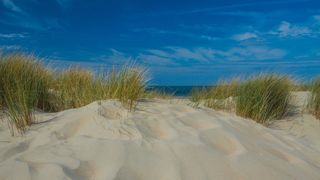 Dune and sea in Zeeland in Holland