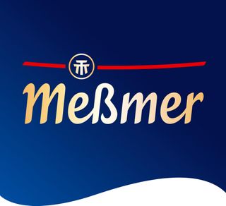 company logo of Messmer