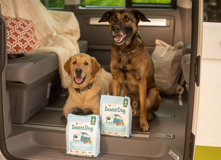 Zwei Hunde liegen im Innenraum eines Campers. Neben ihnen liegen zwei Tüten Insect Dog Hundefutter von unserem Partner Green Petfood. Camping mit Hund in nachhaltig: alles dazu erfährst du hier im Artikel.