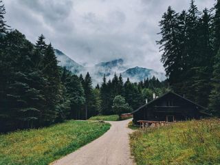 Waldweg in Deutschland mit Blick auf eine Waldhütte.