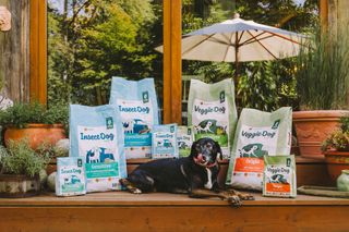 Bild mit Hund und Hundefutter des Hundepartners Green Petfood