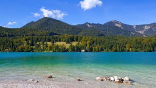 Ufer des Walchensees mit türkisblauem Wasser